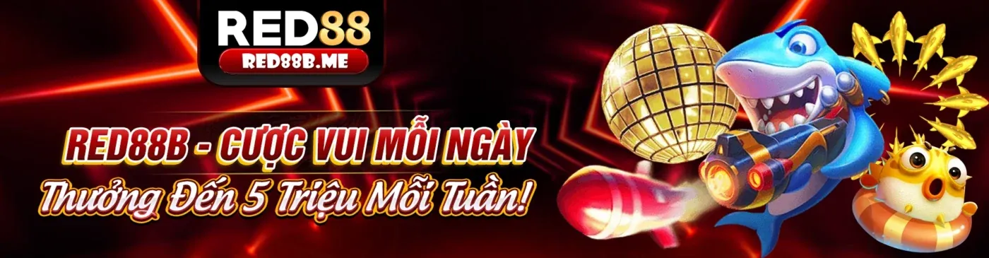 Tầm nhìn tương lai ok9 hiện đang mở